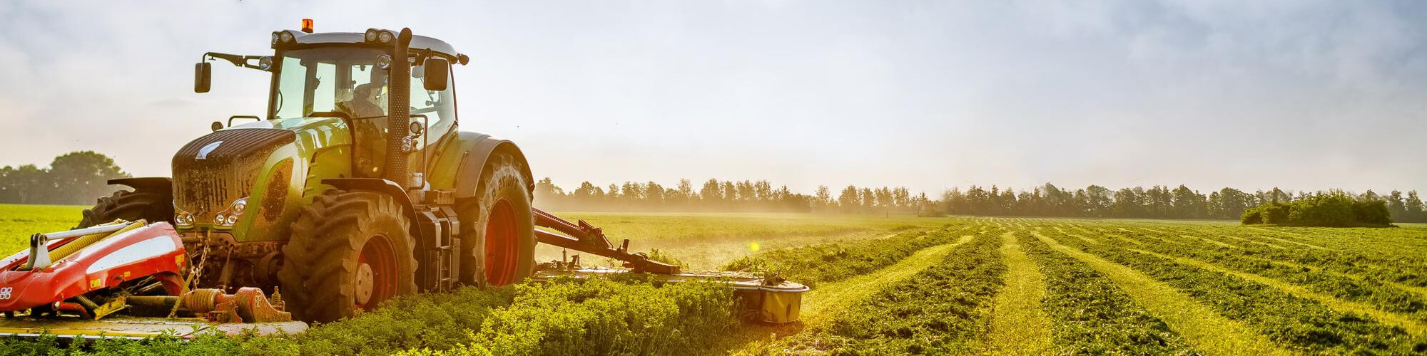 Agriculture