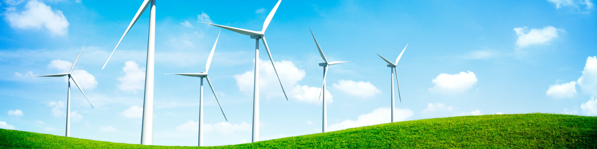 Renewable Energy